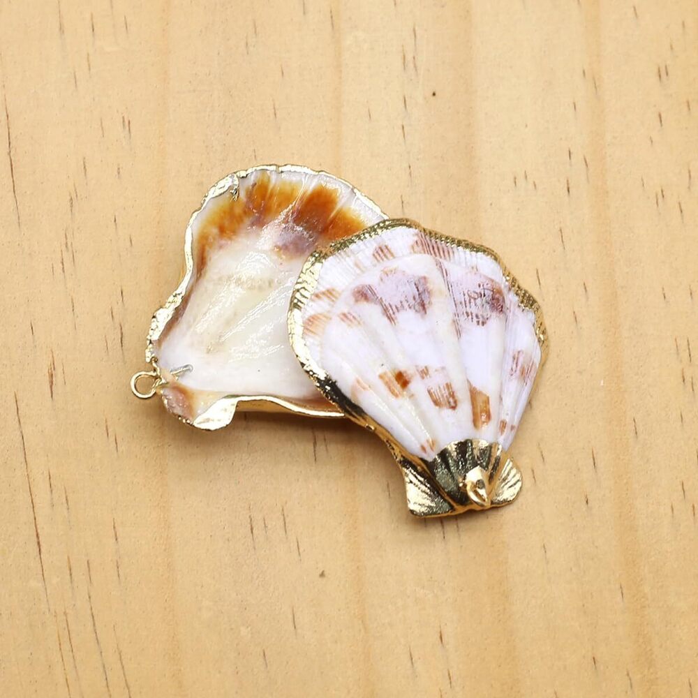 8848 20pcs Natural Pendants - Spiral, Conch, Cowrie, Sea Shells Charms - Picture 5 of 7